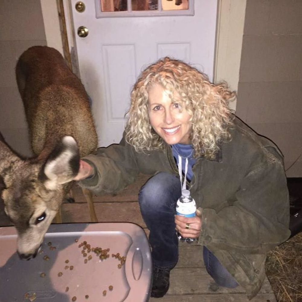 Meet your Posher, Sherri